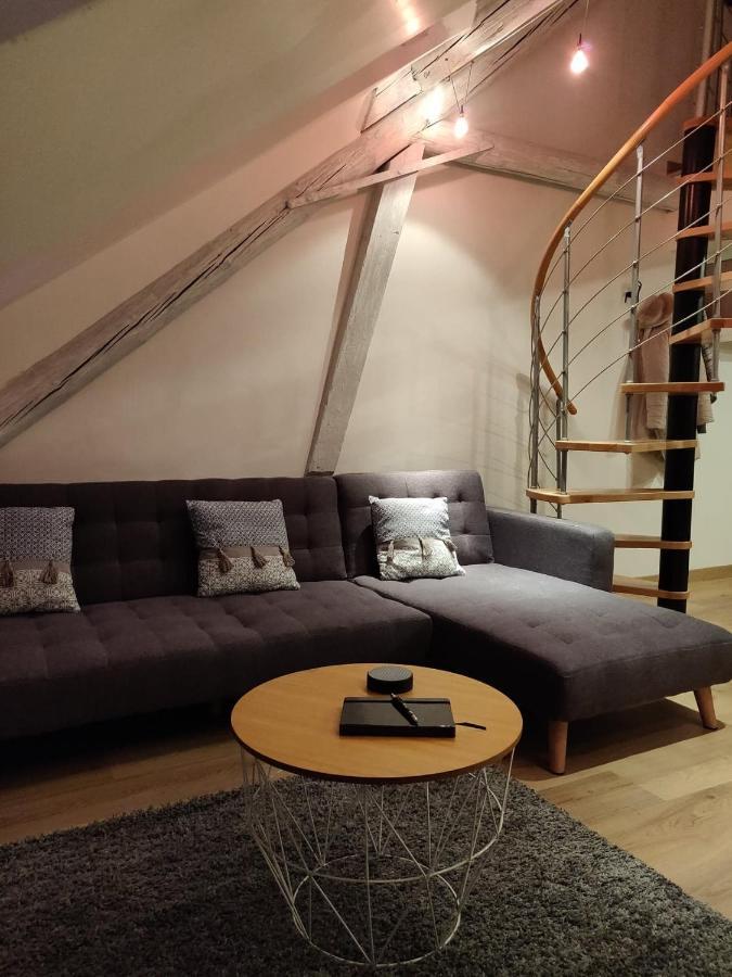 サルグミーヌLe Business, Duplex Moderne Special Pro De Passageアパートメント エクステリア 写真