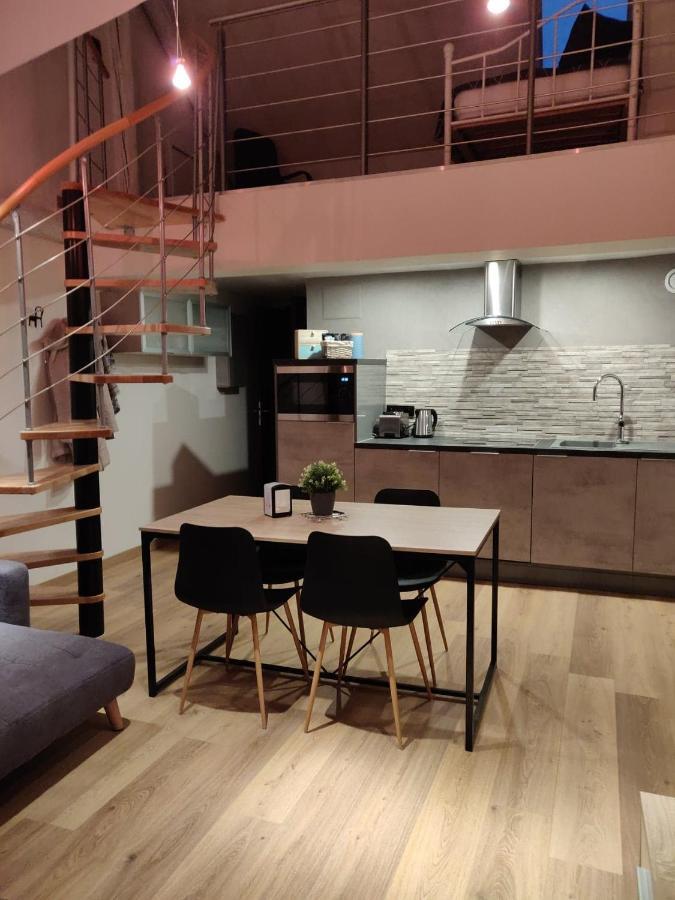 サルグミーヌLe Business, Duplex Moderne Special Pro De Passageアパートメント エクステリア 写真